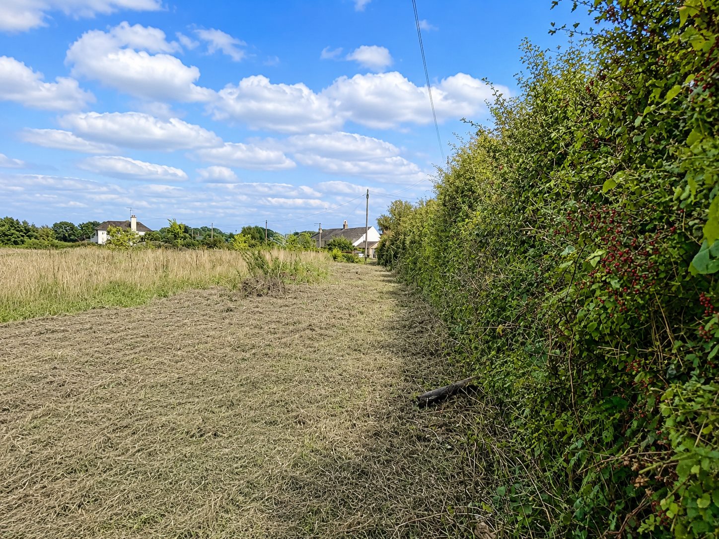 Hedge cutting for rural boundaries