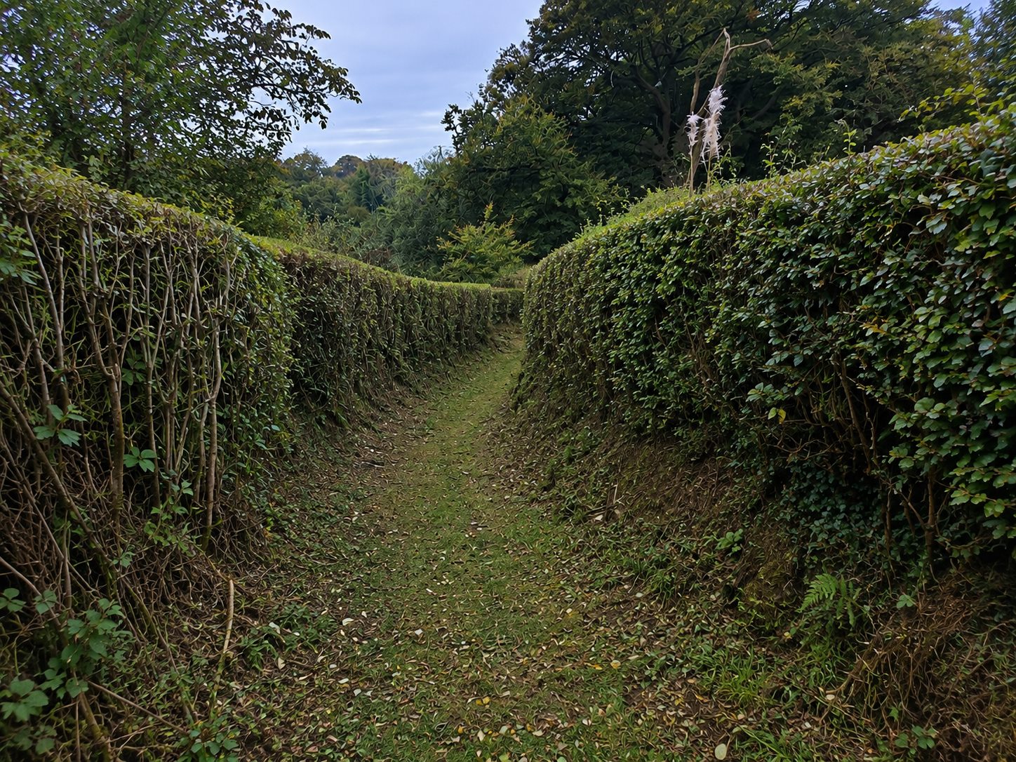 Hedge cutting and boundary maintenance work