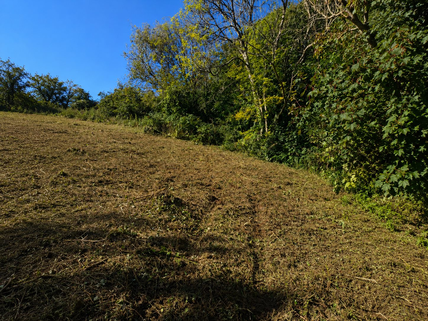 Land reclamation work in progress