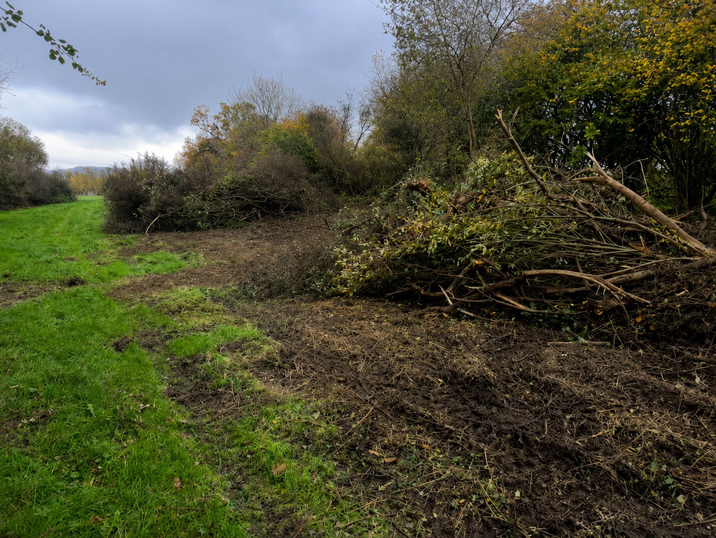 Recovered land ready for use
